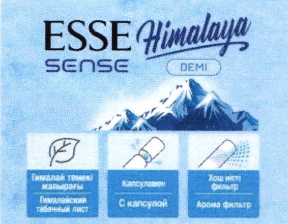Изображение товарного знака 22613